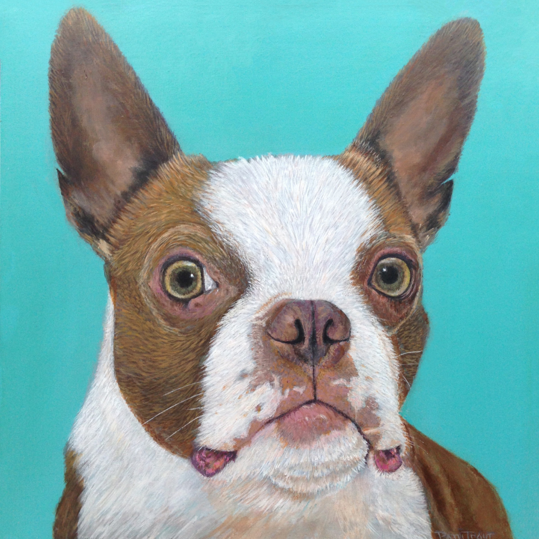 pet portrait dog