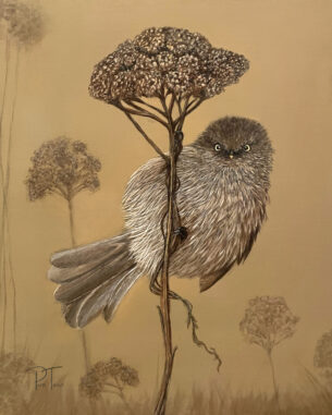 Bushtit Bird Fine Art Print