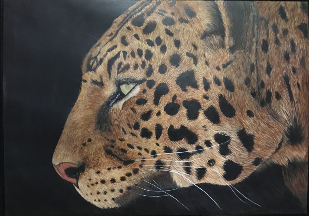 Leopard Artwork
