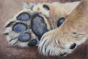 Little Lion Paws 9"x 6"