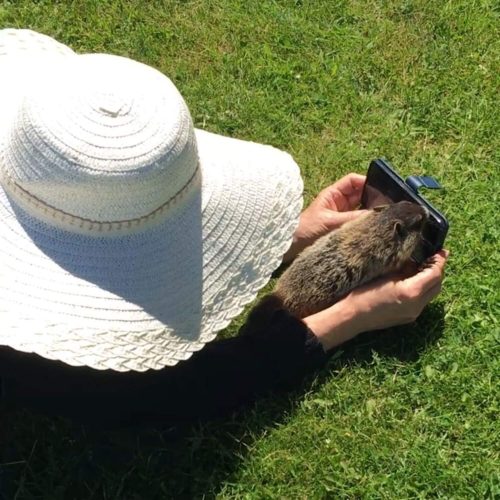 Playing with Della Groundhog