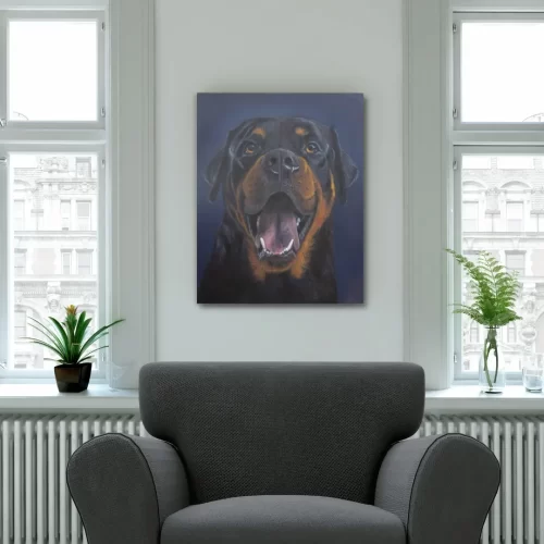 Rottweiler portrait